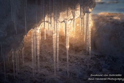 Lake Superior ice, sunlit icicles