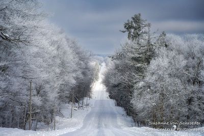 Driving through a winter wonderland
