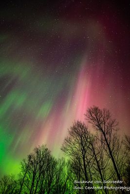 March 23. Aurora 4