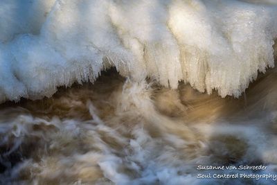 Flambeau River, early spring, close up 2