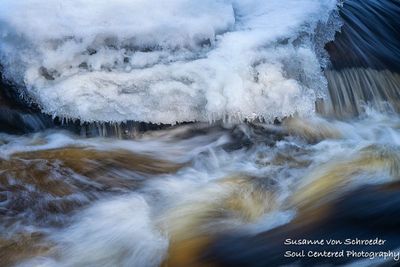 Flambeau River, early spring, close up 3
