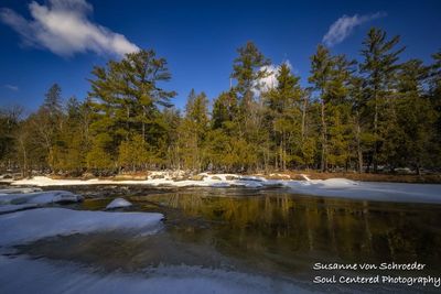 Flambeau River, early spring, reflections