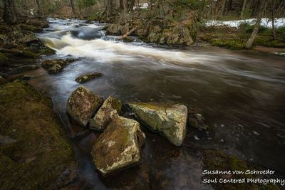A creek in northern Wisconsin, early spring 3
