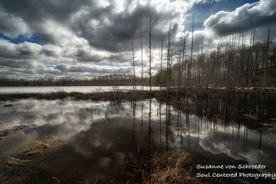 Beautiful spring clouds and reflections