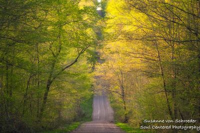 Driving thru the Blue Hills, spring