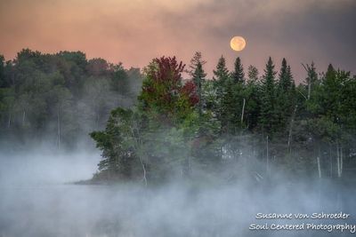 Setting full moon, fog and morning mist at a lake 1