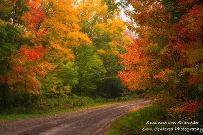 Fall color drive, Blue Hills 1