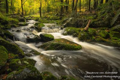 Favorite creek in the Blue Hills 2