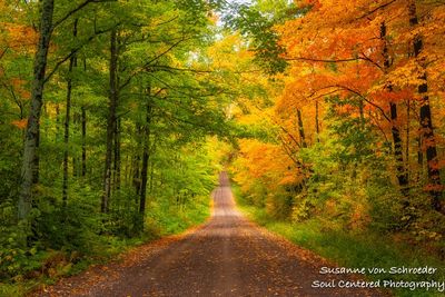 Fall color drive, late September 2
