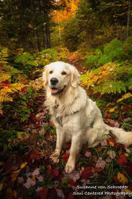 Happy Shanti, autumn hike