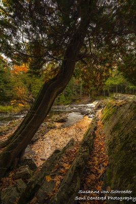 Upson Falls, Iron County, WI 7