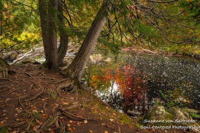 Upson Falls, Iron County, WI 8