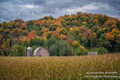 Barn and fall colors, northern Wisconsin