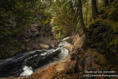 Cascade River, near The Cascades4