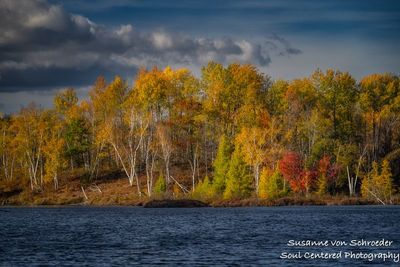 Late fall colors, Audie Lake 1