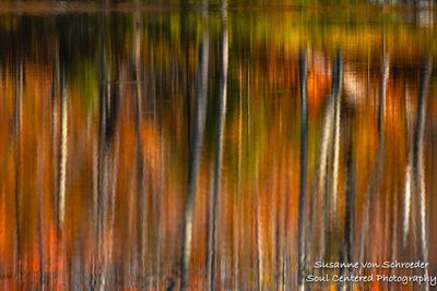 Fall color reflections 1
