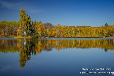 Late fall colors, reflections, Audie Lake 3