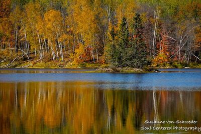 Late fall colors, reflections, Audie Lake 4