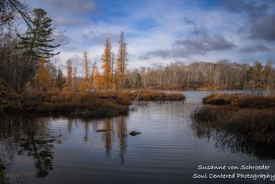 Audie Lake, late fall 1