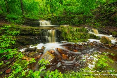 Devil's Kettle, Blue Hills