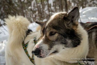 _DSC1747zWeb.jpg