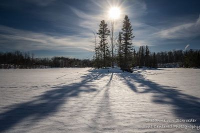 Sunny winter day, Audie Lake 1