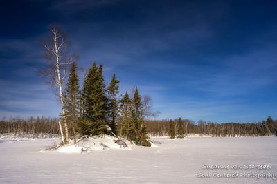 Sunny winter day, Audie Lake 2