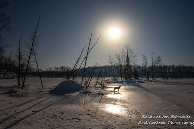 g13/61/751361/3/175015938.aecee640.JPEG