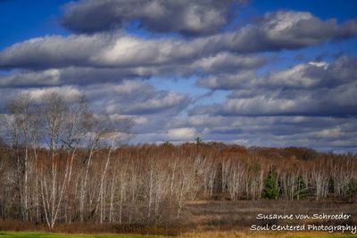 Beautiful November day