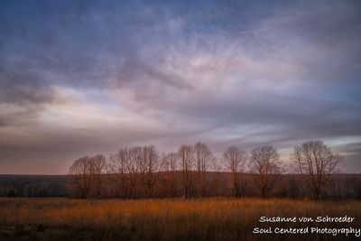 Soft November morning 1