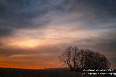 Soft November morning 2