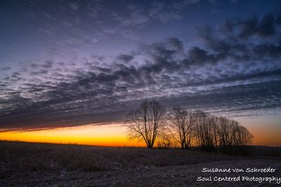Late November dawn 1