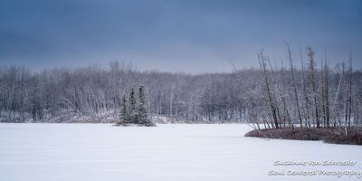 Early winter at Audie Lake 1