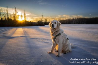 Shanti at Audie Lake