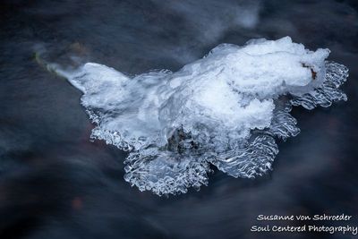 Ice in a creek 1