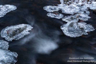 Ice in a creek 3