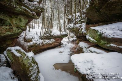 Echo Dells near Washburn, WI 2