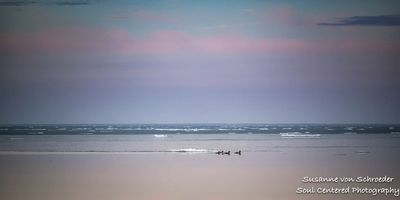 Serene Lake Superior with Mergansers 1
