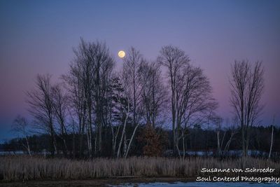 February full moon rising 4