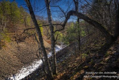 Blue Hills Felsenmeer 1