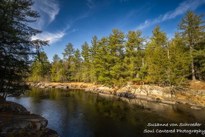  Flambeau river, Slough Gundi 