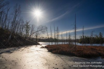 Early spring at Audie Lake 1