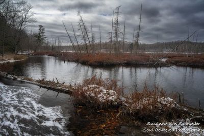 Early spring at Audie Lake 2