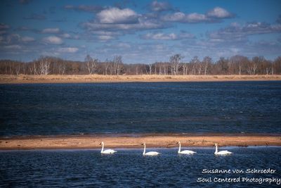 Early spring at Crex Meadows 1