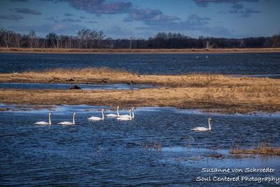 Early spring at Crex Meadows 2