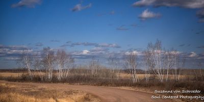 Early spring at Crex Meadows 4