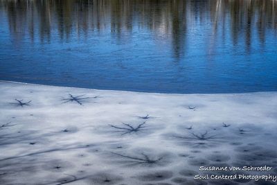 Spring at Audie Lake, ice melt 2