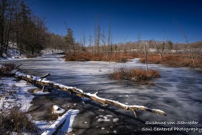 Spring at Audie Lake, ice melt 5