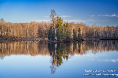 Calm Spring day with reflections, Audie Lake 2