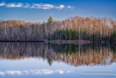 Calm Spring day with reflections, Audie Lake 3